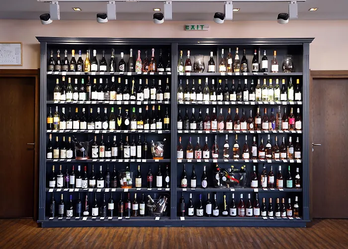 Galeon & 5* Солнечный берег